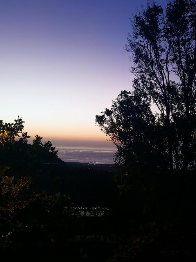Flor De Loto Romantic Woodhouse Casita Camping Aguatona Dış mekan fotoğraf